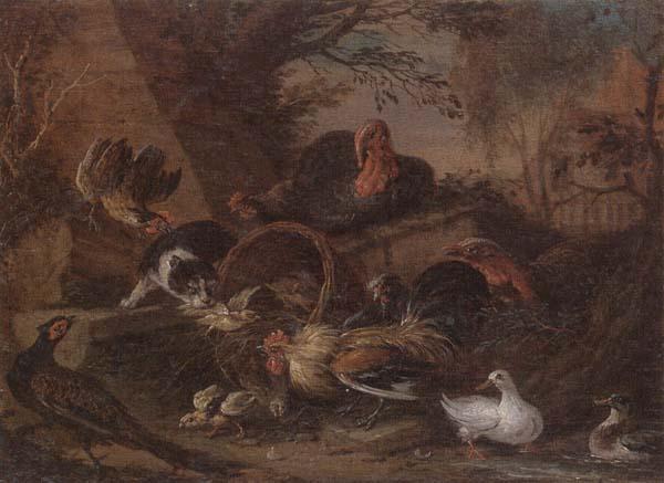 unknow artist Still life of fowl in a farmyard,with a cat stealing a bantam chick Germany oil painting art